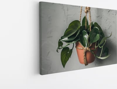 Saammp Canvas Schilderij - Hangplant Hartvormige Bladeren - Natuur - Abstract - 30x20 - Foto op canvas - Wanddecoratie - Muurdecoratie Woonkamer - Kantoor Decoratie