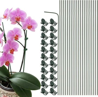 Flexibele Orchidee Stokken voor Plantenondersteuning, Inclusief 22 Plant Clips voor Binnen en Buiten, Professionele Plantensteunen van 30 cm