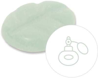 Scentchips® Guilty Pleasure - Geurblokjes - Huisparfum - Geurchips - Waxmelts - Geschikt voor Geurbrander en Waxbrander - S - 8 Stuks