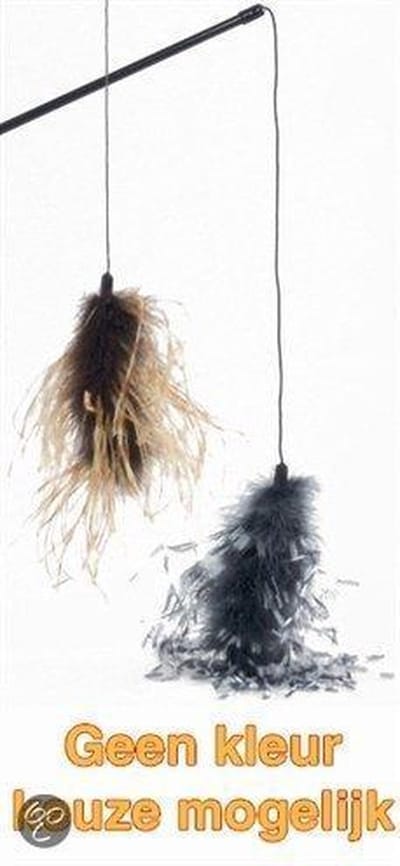Beeztees Kat Hengel Met Struisvogelveren Assorti