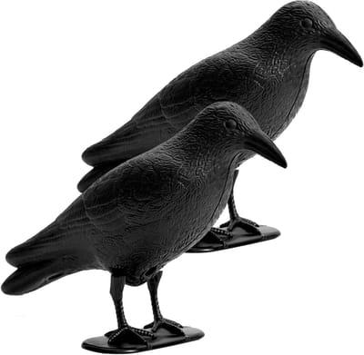 Raaf Vogelverschrikker - Effectieve Duiven- en Vogelverjager voor Balkon en Tuin