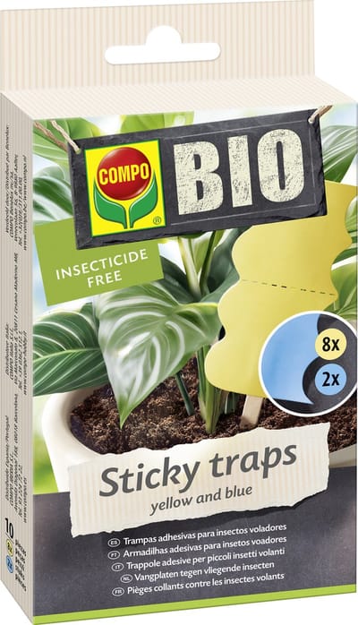 COMPO Bio Sticky Traps - decoratieve lijmvallen tegen rouwmuggen - insecticidevrij - langdurige kleefkracht - 10 stuks