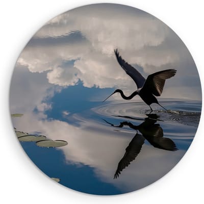 Saammp Muurcirkel Hout - Reiger - Dieren - Bloemen - Ø 90 - Wandcirkel - Wanddecoratie Cirkel - muurdecoratie Woonkamer - Slaapkamer decoratie - Rond Schilderij