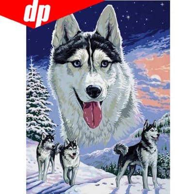 5D bricolage Daimond peinture complète  loup chien  photos strass Diamant mosaïque Diamant broderie 20X30