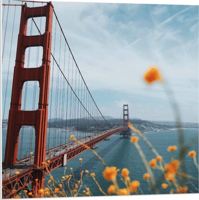 Forex - Golden Gate Bridge in Californië - 80x80cm Foto op Forex
