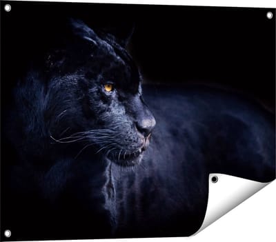 Gards Tuinposter Zwarte Panter - 80x60 cm - Tuindoek - Tuindecoratie - Wanddecoratie buiten - Tuinschilderij