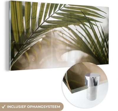 MuchoWow® Glasschilderij 40x20 cm - Schilderij acrylglas - Palmboom - Palmblad - Zon - Zomer - Foto op glas - Schilderijen
