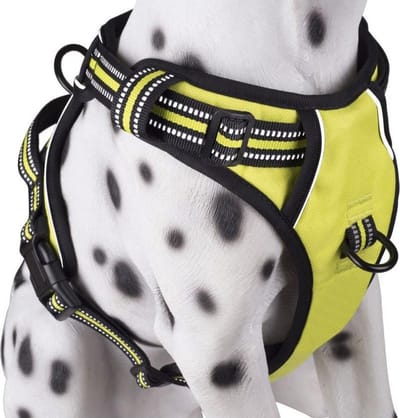 Frenkiez Reflective Y Harness No pull Dog Harness, green/yellow, xs