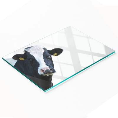 Keuken serveerplank van gehard glas met koeienafbeelding 80x52 cm
