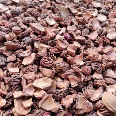 Gebroken perzikstenen 20 liter zak (ca. 1m2) | Tuindecoratie en bodembedekking | Alternatief voor Cacaodoppen
