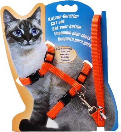 Kattentuigje | Oranje| Kattenharnas met looplijn - Kattenriem - Riem voor katten - Tuig met riem - Veilig- verstelbaar - Walking Jacket - Wandelen-Kitten harnas-