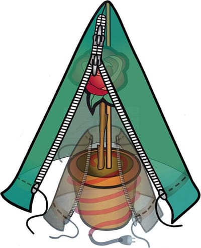 Plantenhoes - piramide - 50 x 100 cm - Anti-vorst - voor planten/bomen/struiken