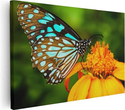 Artaza Canvas Schilderij Vlinder Op Bloem - 30x20 cm - Klein - Wanddecoratie Vlinders - Muurdecoratie Bloemen - Kamer Accessoires