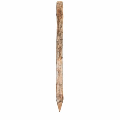 Robinia Ronde Palen 120cm 6-8cm.