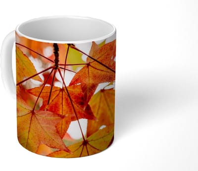 Mok - Koffiemok - Herfsttakken - Bladeren - Seizoenen - Landelijk - Mokken - 350 ML - Beker - Koffiemokken - Theemok