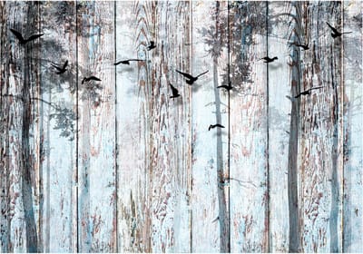 Fotobehangkoning - Behang - Vliesbehang - Fotobehang Vogels in het Bos - Houten Planken - Close to Nature - 150 x 105 cm