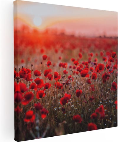 Artaza Canvas Schilderij Klaprozen - 90x90 cm - Wanddecoratie Bloemen - Muurdecoratie Zonsondergang - Decoratie Veld