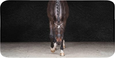 WC mat 120x60 cm - Antislip - Paard - Modern - Portret - Toiletmat - Vloermat - Douchemat - Toilet tapijt - Toiletmatten