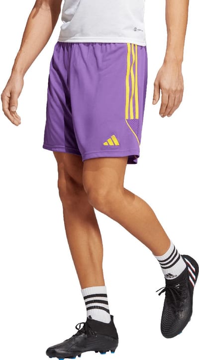 Herenshort adidas Tiro 23 League - Paars - M