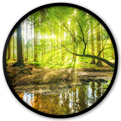 Poster in lijst Rond - Fotolijst 40x40 cm - Posters - Bos - Landschap - Water - Bomen - Zon - Groen - Natuur - Ronde posterlijst zwart - Decoratie - Wanddecoratie woonkamer - Muurdecoratie slaapkamer