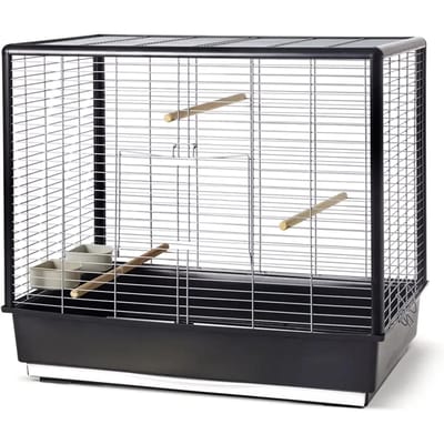 vogel Noah Knock Down zwart 80x50x70