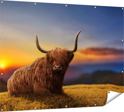 Gards Tuinposter Schotse Hooglander Koe op een Heuvel - 160x120 cm - Tuindoek - Tuindecoratie - Wanddecoratie buiten - Tuinschilderij