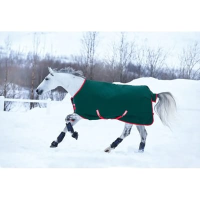 Outdoor paardendeken Horseware Rambo Original Turnout Hvy 400g