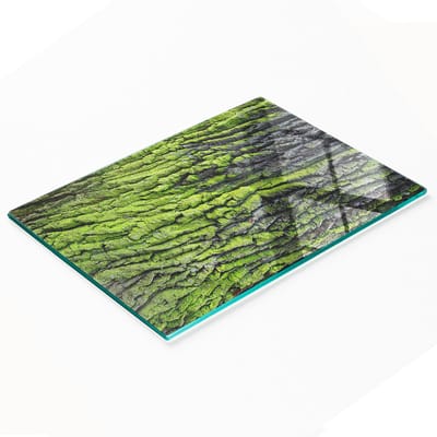 Decoratieve glazen serveerplank met boomschorsmotief, 80x52 cm