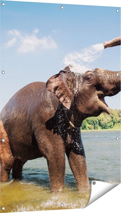 Gards Tuinposter Vrolijke Olifant in het Water - 80x120 cm - Tuindoek - Tuindecoratie - Wanddecoratie buiten - Tuinschilderij