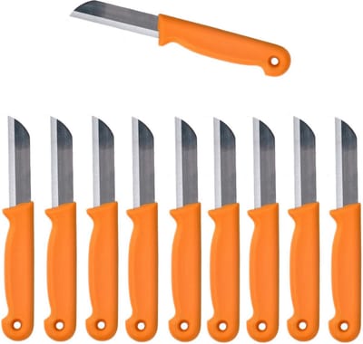Solingen Schilmesje Duits - Oranje - RVS 16 cm. - 500 stuks