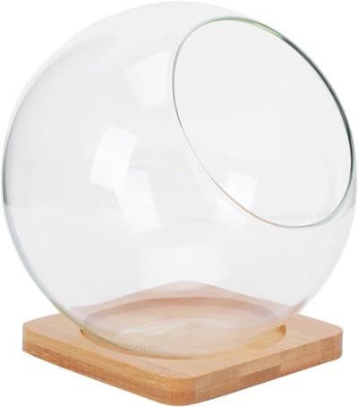 ByShane - Glas Terrarium voor Micro Landschap en Bloemen in Ronde Vaas