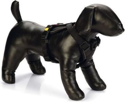 Beeztees Hondentuig Parinca Premium Y-Tuig - Hondenharnas kleine honden - Nylon - Zwart - 42-46cmx20mm
