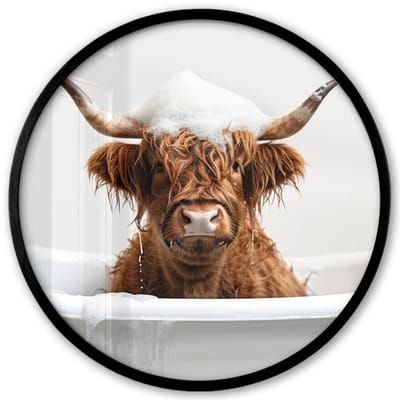 Poster in lijst Rond - Fotolijst 40x40 cm - Posters - Schotse Hooglander - Bad - Koe - Dieren - Schuim - Ronde posterlijst zwart - Decoratie - Wanddecoratie woonkamer - Muurdecoratie slaapkamer