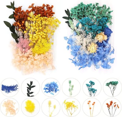 Droogbloemen Mix Blauwe Gedroogde Bloemen Epoxy Hars DIY Knutselen Handwerk - Set van 2 dozen
