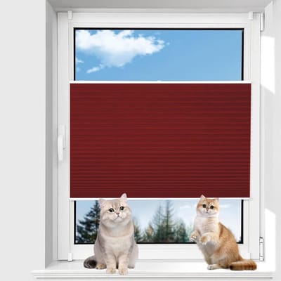 Verduisteringsgordijn - Plisségordijn Raam - Privacy Bescherming - Zelfklevend Borenloos - 60 x 60 cm - Rood