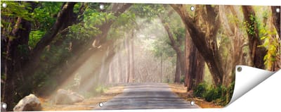 Gards Tuinposter Weg Omringd met Bomen - 120x40 cm - Tuindoek - Tuindecoratie - Wanddecoratie buiten - Tuinschilderij