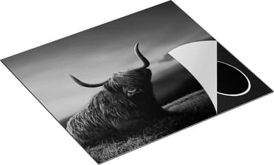 Chefcare Inductie Beschermer Schotse Hooglander Koe op een Heuvel - Zwart Wit - 60x50 cm - Afdekplaat Inductie - Kookplaat Beschermer - Inductie Mat