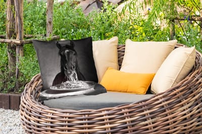 Buitenkussen Weerbestendig - Paard - Bord - Pasta - Tafelkleed - Zwart Wit - Dieren - 50x50 cm