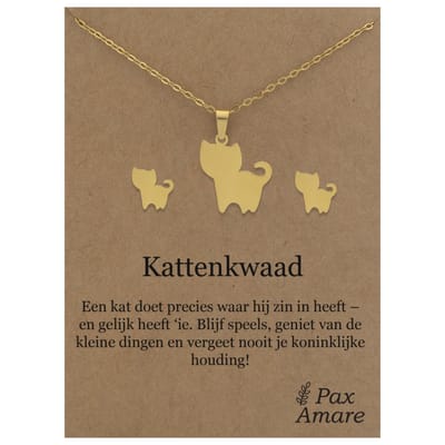 Stainless Steel Katje Ketting + Oorbellen Setje op Cadeau Kaartje - Kattenkwaad - 45 cm ketting & ± 10x10mm Oorknopjes - Zilverkleurig Roestvrij Staal - Pax Amare