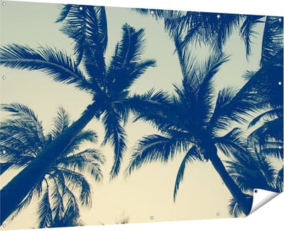 Gards Tuinposter Palmbomen Bladeren - 180x120 cm - Tuindoek - Tuindecoratie - Wanddecoratie buiten - Tuinschilderij