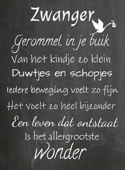 Houten tekstbord 'Zwanger' - cadeau zwangerschap -