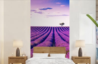 Behang - Fotobehang Lavendel - Bomen - Paars - Bloemen - Breedte 120 cm x hoogte 240 cm