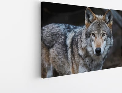 Saammp Canvas Schilderij - Wolf - Portret - Dieren - Natuur - 30x20 - Foto op canvas - Wanddecoratie - muurdecoratie Woonkamer - Slaapkamer decoratie - Canvas Print