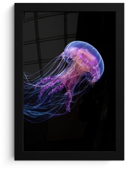 Poster in lijst - Fotolijst 20x30 cm - Posters - Kwal - Doorzichtig - Roze - Tentakels - Posterlijst zwart - Decoratie - Wanddecoratie woonkamer - Muurdecoratie slaapkamer