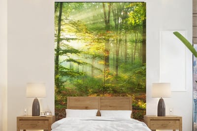 Behang - Fotobehang Zon - Bos - Bomen - Natuur - Herfst - Breedte 160 cm x hoogte 240 cm