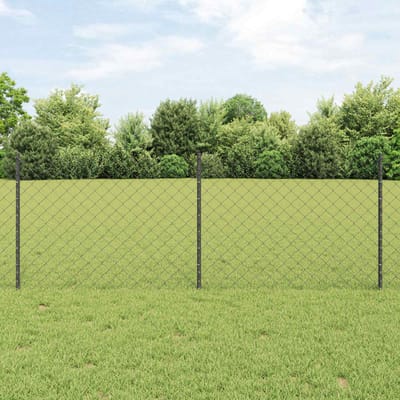 vidaXL - Gaashekwerk - met - paal - 10 - x - 0,8 - m - PVC-Coated - Staal - Grijs - Mesh