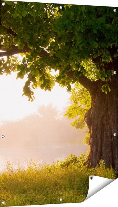 Gards Tuinposter Eikenboom aan het Water met Volle Bladeren - 80x120 cm - Tuindoek - Tuindecoratie - Wanddecoratie buiten - Tuinschilderij