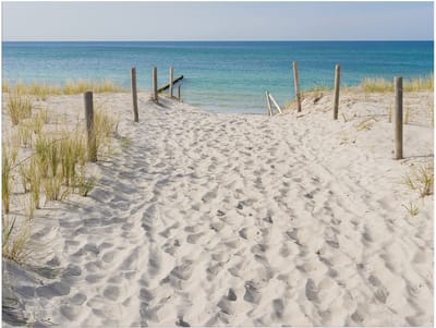 Art for the Home Buitencanvas Strandwandeling