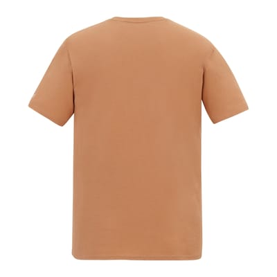 Regatta Heren Cline IX Caravan T-Shirt (Italiaanse klei)