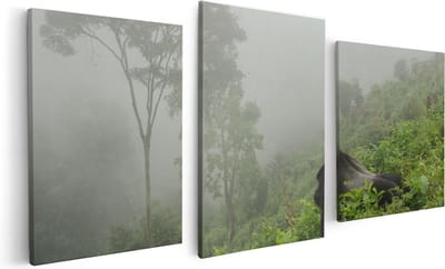 Artaza Canvas Schilderij Drieluik Gorilla in het Woud tijdens de Mist - 120x60 - Foto Op Canvas - Canvas Print